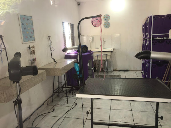 Foto 2 Malu pet shop