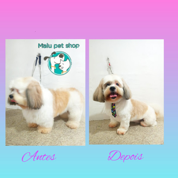 Foto 5 Malu pet shop Foto 5 Malu pet shop