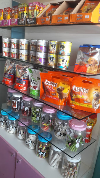 Foto 1 Casa de Ração & Pet Shop Bicho Solto