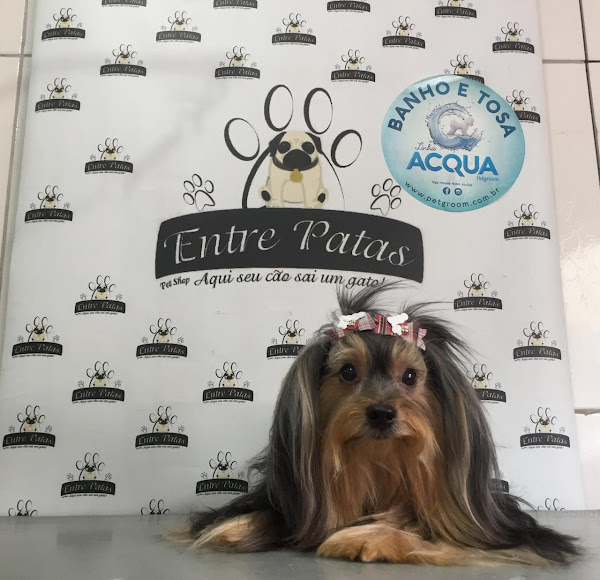 Foto 1 PET SHOP ENTRE PATAS