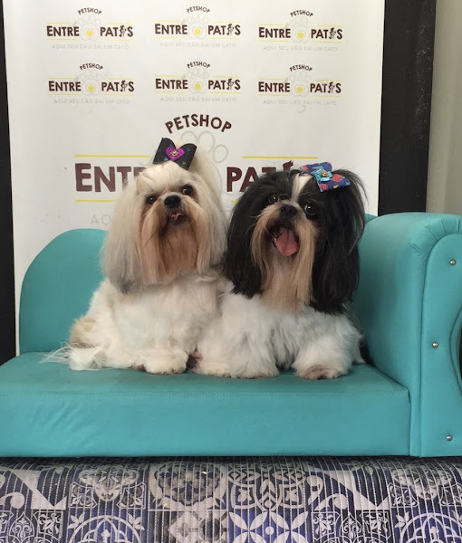 Foto 2 PET SHOP ENTRE PATAS