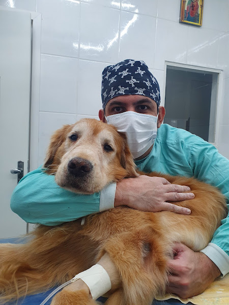 Clínica Veterinária VetMaster Clínica Veterinária VetMaster