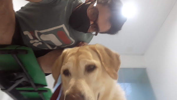 Foto 1 Clínica Veterinária Santa Catarina