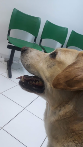 Foto 2 Clínica Veterinária Santa Catarina