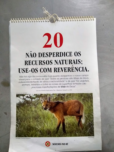 Clínica Veterinária