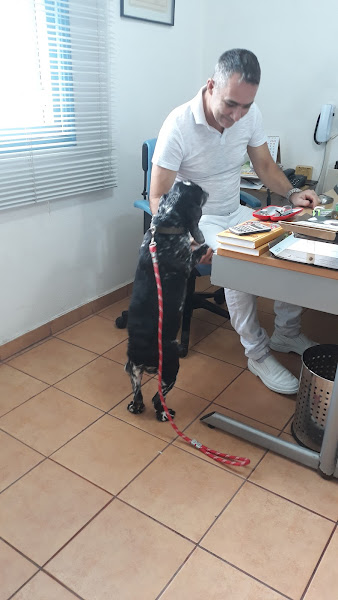 Foto 5 Clínica Veterinária Dr. Francisco De Almeida Filho