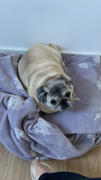 Foto 1 Clínica Veterinária Edu Chaves