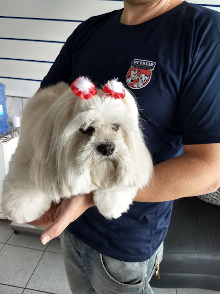 Foto 3 Pet Star Clinica Veterinária