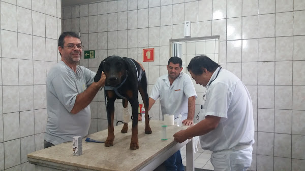 Clínica Veterinária Ponte Rasa
