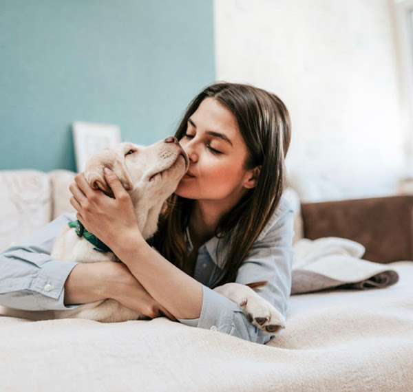 Clínica Veterinária Santa Cruz