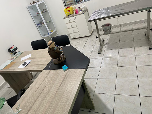 Foto 1 Clínica Veterinária Santa Cruz