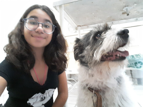 Foto 2 Clínica Veterinária Mutinga