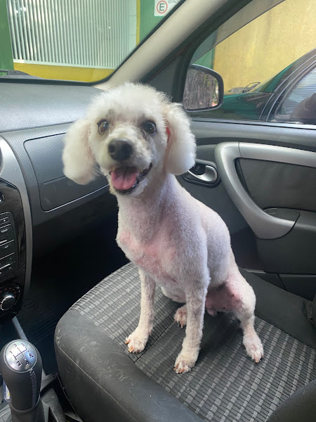 Foto 1 Bichos do Guará Clinica Veterinaria 24h