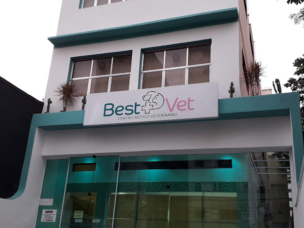 Foto 1 Best Vet