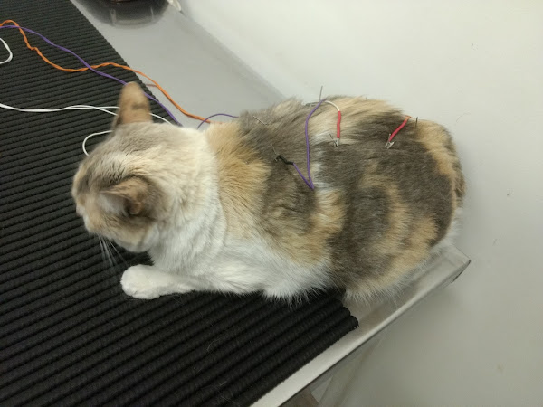 Foto 2 Centro Veterinário Minerva