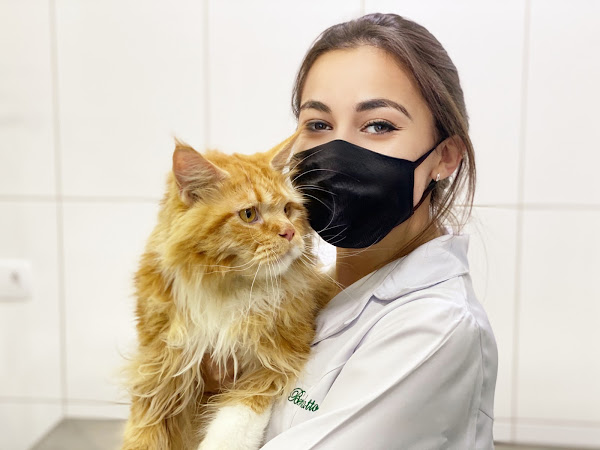 Foto 2 Consultório Veterinário Olha Eu