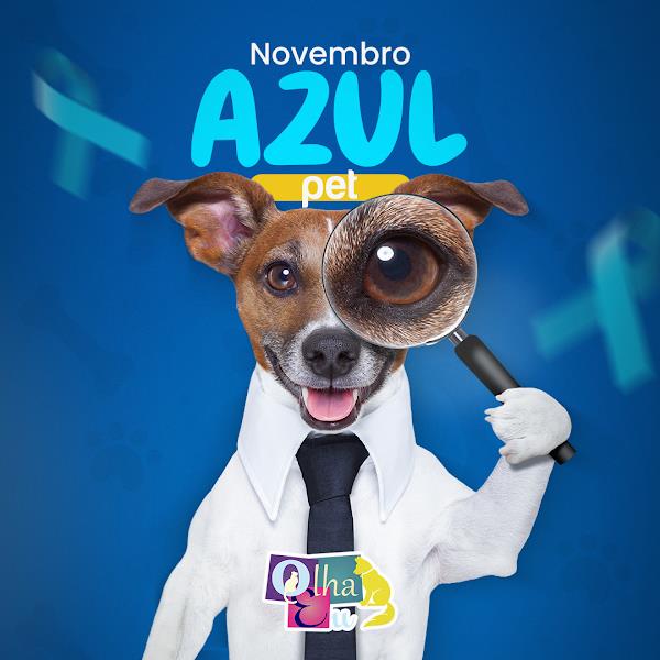 Foto 3 Consultório Veterinário Olha Eu