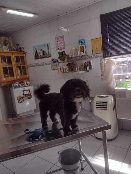 Foto 1 Avícola Rações Rio D'Oro