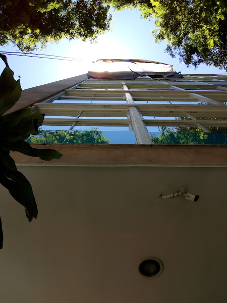 Auto Flor de Laranjeiras