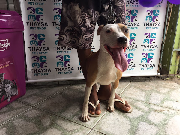 Foto 4 Thaysa Pet Shop