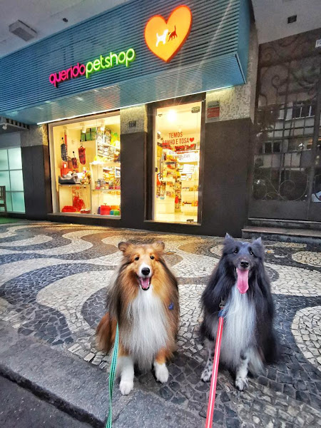 Querido Petshop