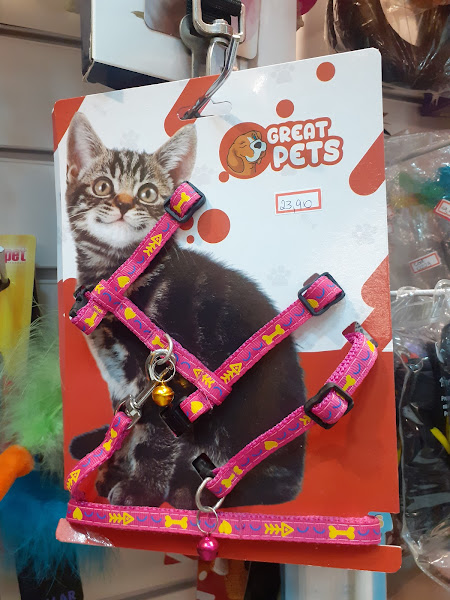 Foto 1 Bicho Fofuxo Pet Shop