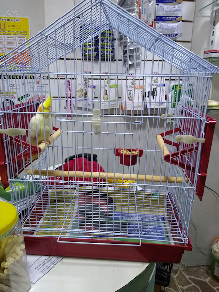 Foto 1 Pet Shop Animais incríveis