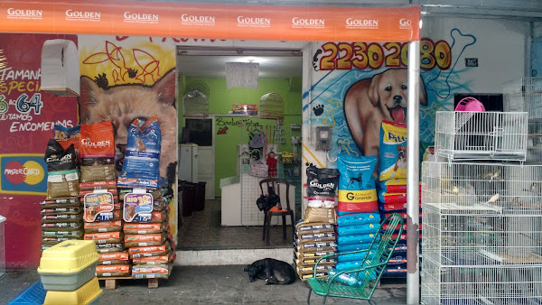 Foto 4 Pet Shop Animais incríveis