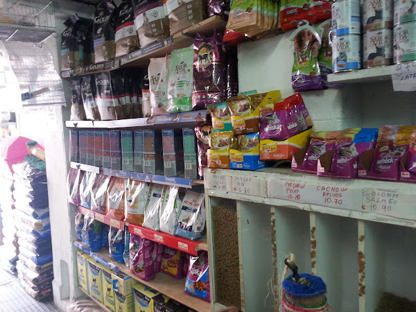 Foto 2 Ralf Campeão Pet Shop