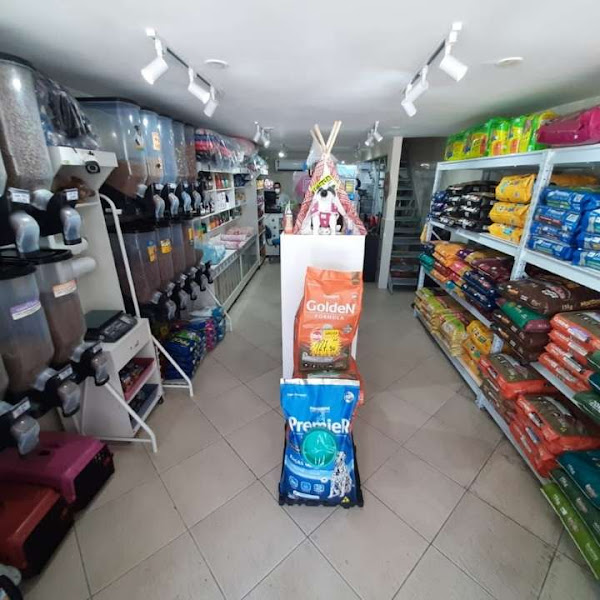 Foto 1 PetShop SmartCão no Tanque