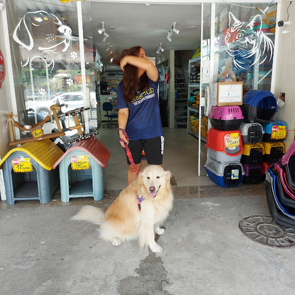 Foto 2 PetShop SmartCão no Tanque