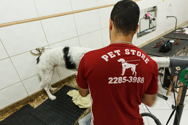 Foto 4 Pet Store
