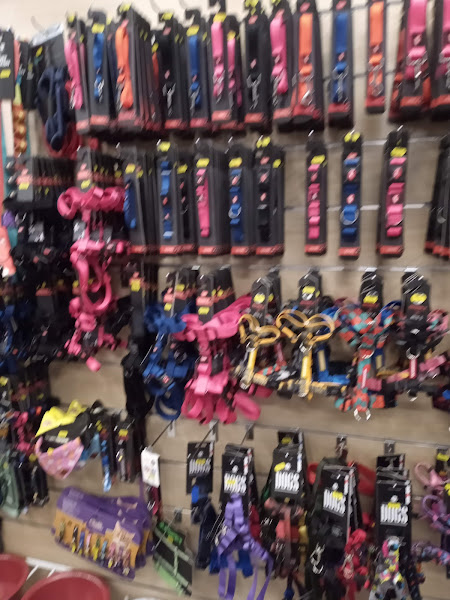 Foto 3 Pet Shop Ar Mar - Tijuca