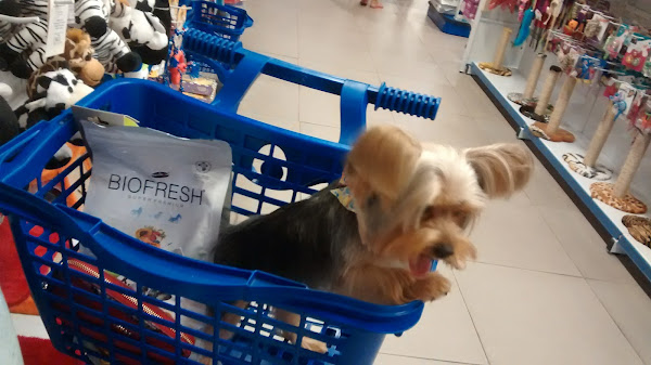 Foto 5 Pet Shop Ar Mar - Tijuca