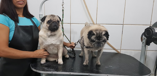 Foto 3 Praça Vet - Veterinária e Pet Shop