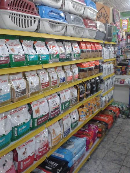 Foto 4 Pet Shop Kasa Kamelo