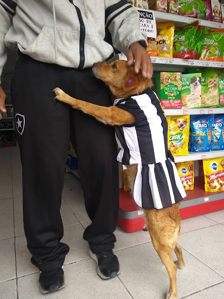 Foto 5 Pet Shop Magalhães