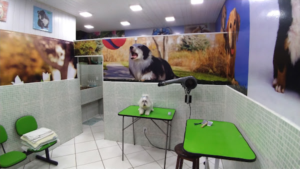 Foto 1 Pet shop Ambiente Animal