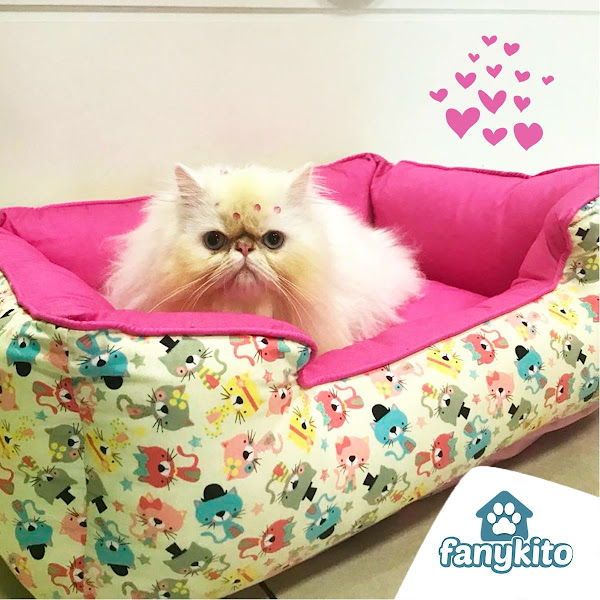 Foto 1 Fanykito Pet Shop