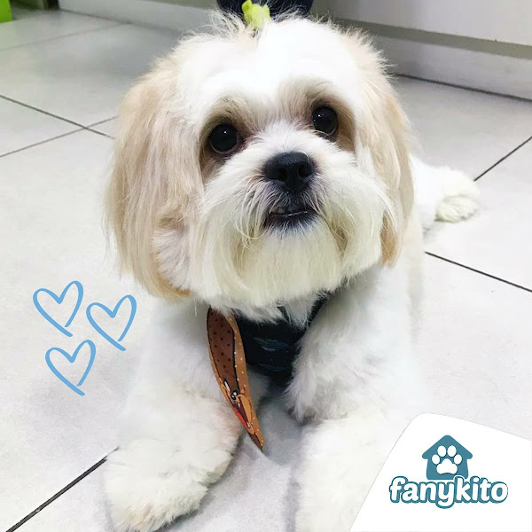 Foto 2 Fanykito Pet Shop