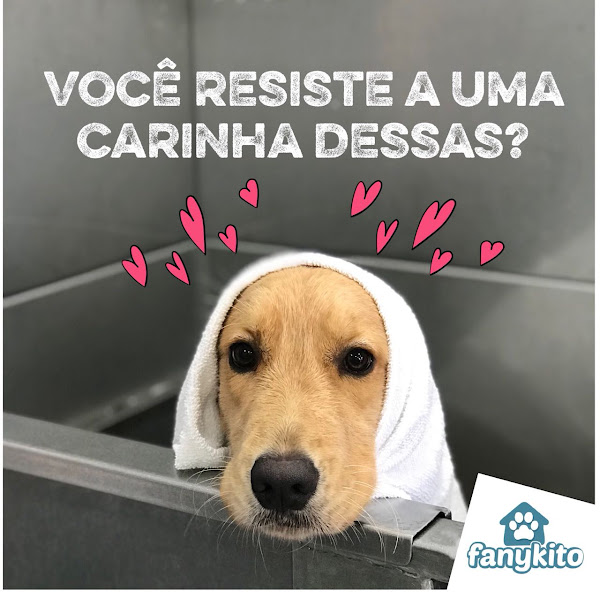 Foto 4 Fanykito Pet Shop