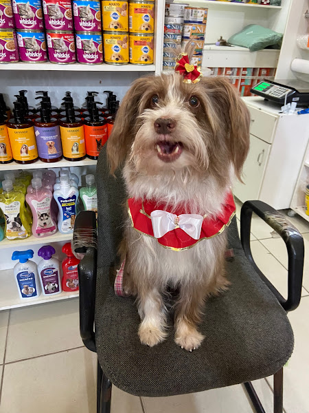 Foto 1 Pet Shop Bicho Amado