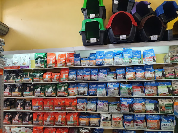 Foto 3 Pet Shop Bicho Amado