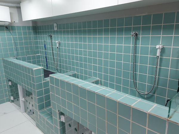 Foto 3 Pet a Pet Rio 2