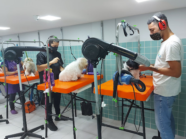 Foto 5 Pet a Pet Rio 2