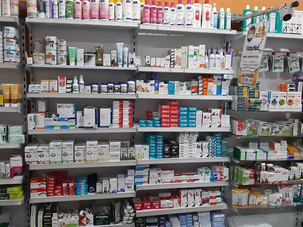 Foto 1 Nova Rodrigao Valqueire Pet Shop e Veterinária