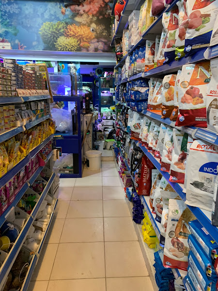 Foto 3 Patas & Penas Petshop Copacabana