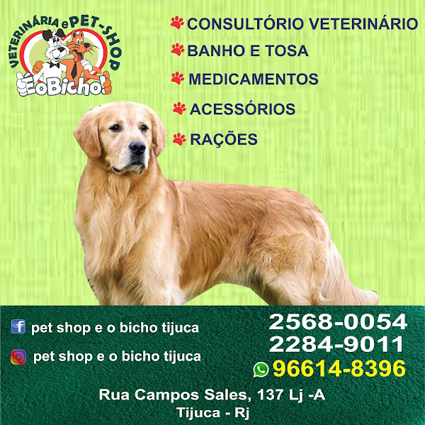 Pet shop e o bicho tijuca - Banho e Tosa - Rações - Clínica Veterinária - Medicamentos Pet