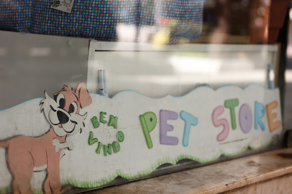 Foto 3 Pet Store