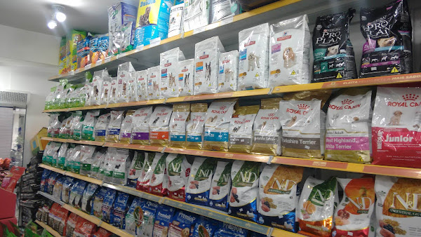 Foto 1 Cães e Gatos Pet Shop